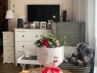 Sale, two bedroom apartment, 47m², Dalmatinska ulica, Podgorica - image 4