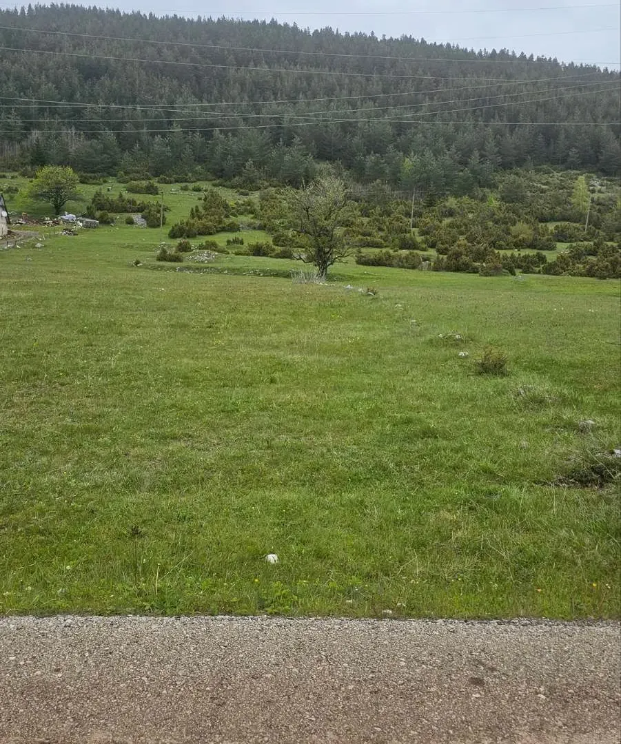 Prodaja, plac, 1400m², Žabljak, Crna Gora