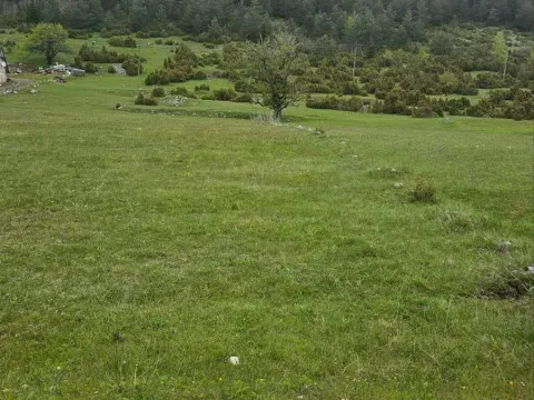 Sale, land lot, 1500m², Žabljak, Crna Gora - image 3