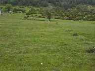 Prodaja, plac, 1500m², Žabljak, Crna Gora - image 3