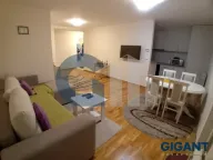 Izdavanje, dvosoban stan, 60m², Zemun Sve Podlokacije, Beograd - image 2