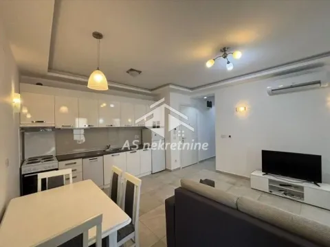 Izdavanje, stan, 55m², Južni Bulevar, Vračar Sve Podlokacije - image 3