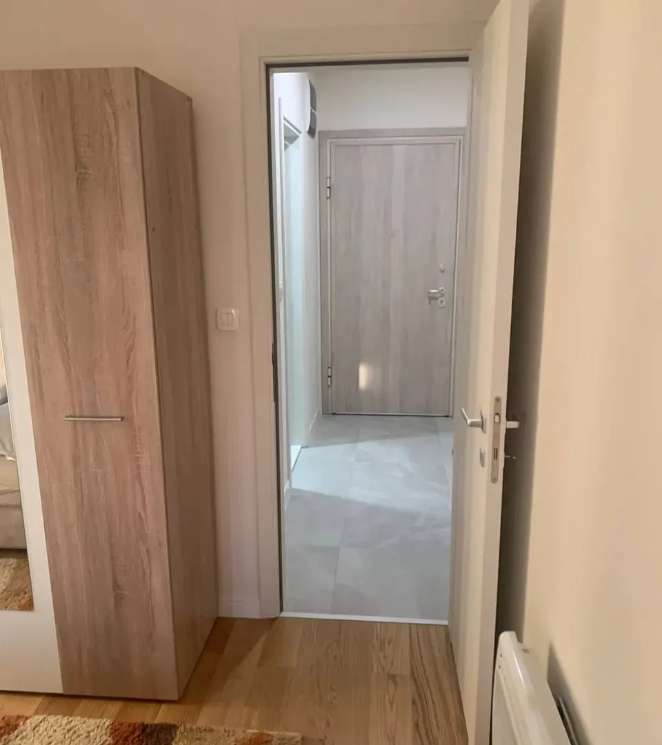 Izdavanje, jednosoban stan, 49m², Central Point, Podgorica