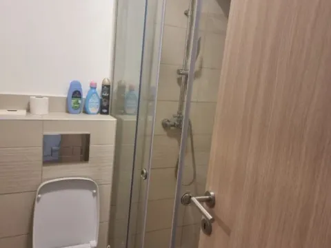 Izdavanje, garsonjera, 31m², Golubovina, Budva - image 10