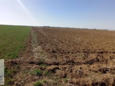 Sale, land lot, 147m², Urovci, Obrenovac - image 5