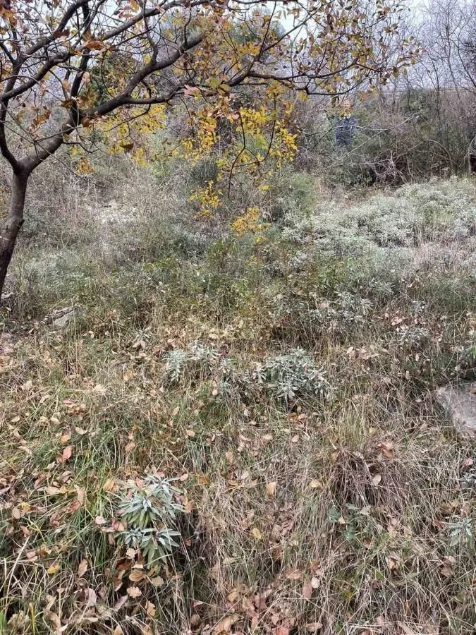 Prodaja, plac, 500m², Jošica, Herceg Novi