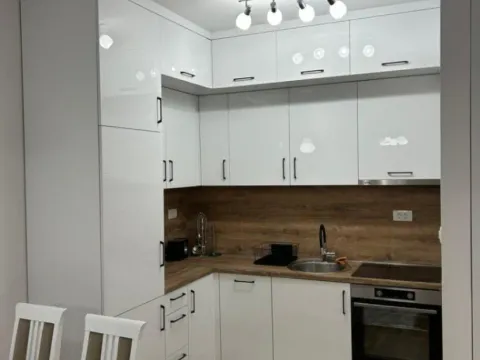 Izdavanje, jednosoban stan, 43m², Zabjelo, Podgorica - image 6