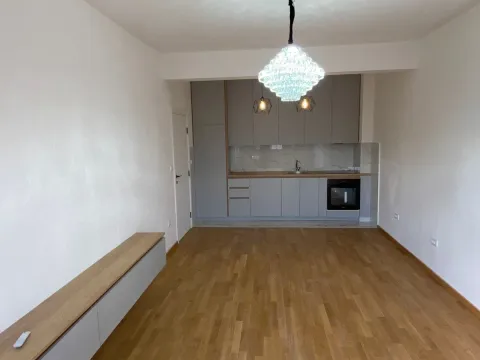 Sale, one bedroom apartment, 48m², Zabjelo, Podgorica - image 1