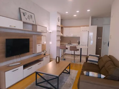 Izdavanje, jednosoban stan, 54m², Slovenska Plaža, Budva - image 4