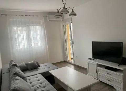 Izdavanje, jednosoban stan, 45m², Tuški Put, Podgorica - image 9