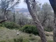 Prodaja, plac, 1604m², Velembusi, Bar - image 1