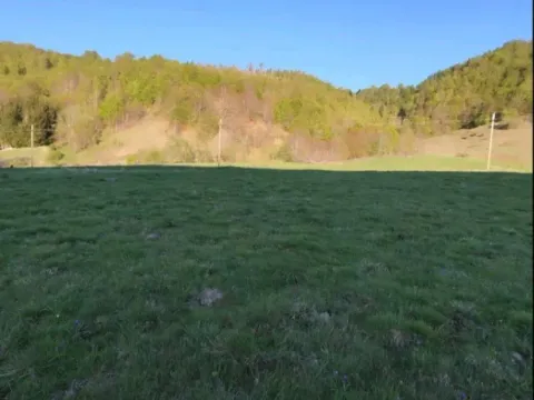 Prodaja, plac, 70000m², Veruša, Podgorica - image 7