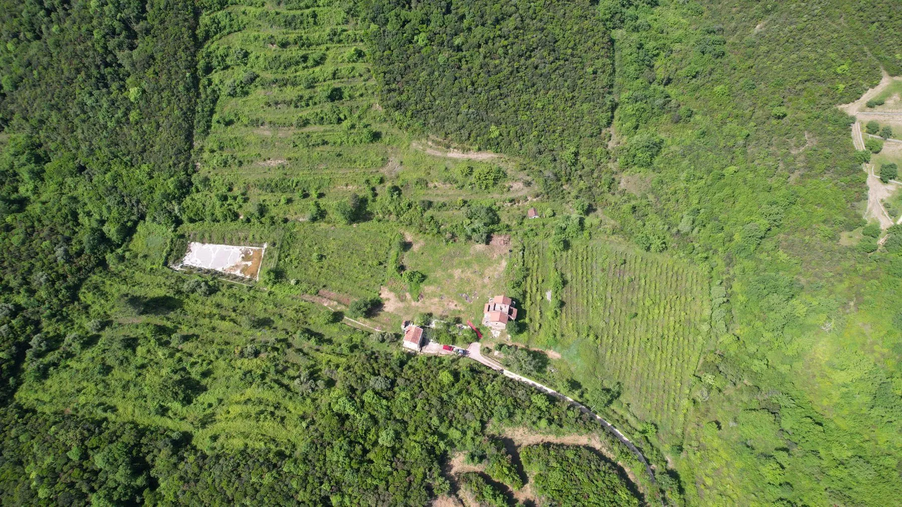Prodaja, plac, 83000m², Radanovići, Kotor
