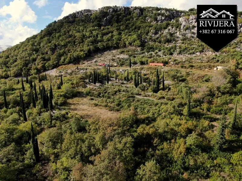 Prodaja, plac, 3849m², Trebesinj, Herceg Novi