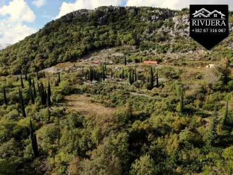 Prodaja, plac, 3849m², Trebesinj, Herceg Novi - image 3