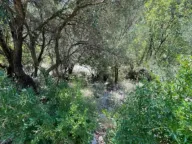 Prodaja, plac, 558m², Jošica, Herceg Novi - image 4