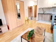 Rent, studio apartment, 29m², Avijatičarsko naselje, Novi Sad Sve Podlokacije - image 3