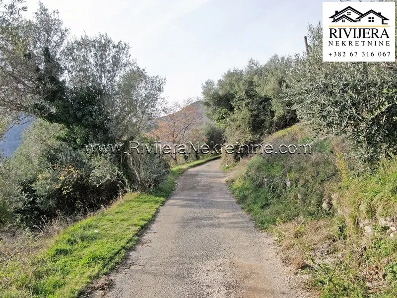 Prodaja, plac, 520m², Bijela, Herceg Novi