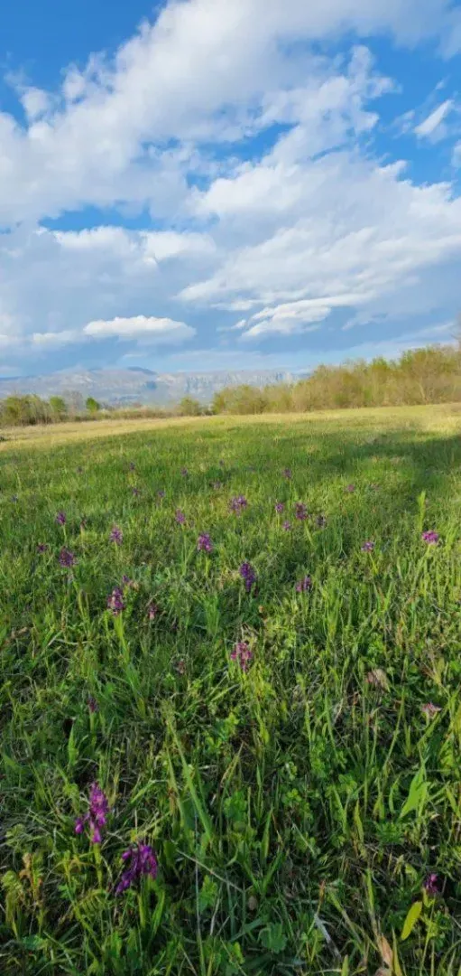 Prodaja, plac, 5554m², Jastreb, Danilovgrad