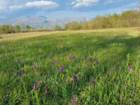 Sale, land lot, 5554m², Jastreb, Danilovgrad