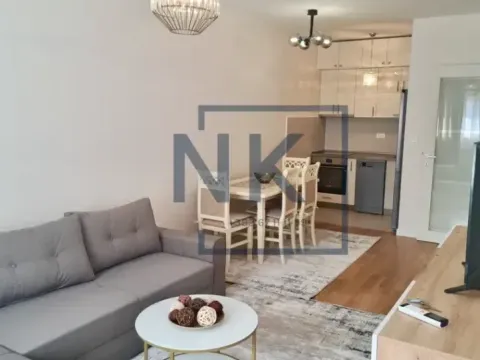 Izdavanje, jednosoban stan, 46m², Central Point, Podgorica - image 2