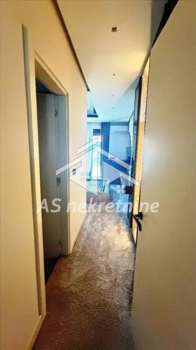 Rent, four bedroom apartment, 275m², Vračar Hram, Vračar Sve Podlokacije