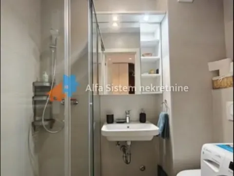 Izdavanje, stan, 56m², Južni Bulevar, Vračar Sve Podlokacije - image 14