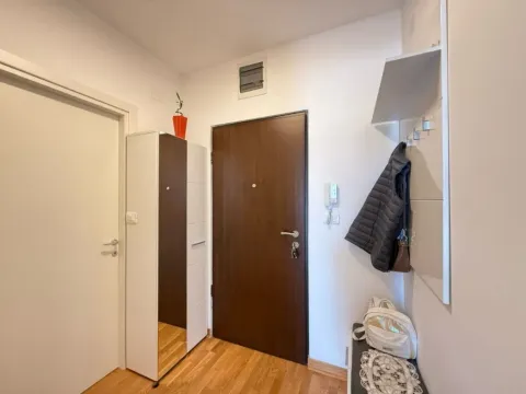 Izdavanje, jednosoban stan, 47m², Zagorič, Podgorica - image 10