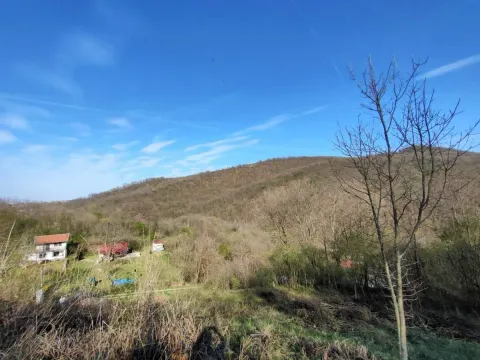 Prodaja, plac, 1300m², Beočin, Srbija - image 9