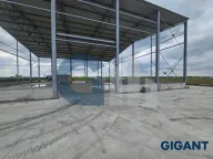 Izdavanje, poslovni prostor, 830m², Dobanovci, Surčin - image 2