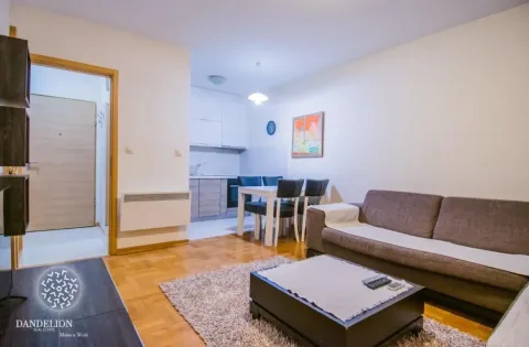 Rent, one bedroom apartment, 43m², Stari Aerodrom, Podgorica - image 7