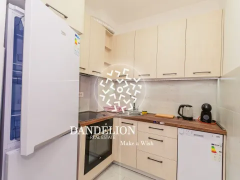 Izdavanje, jednosoban stan, 46m², Vezirov Most, Podgorica - image 14