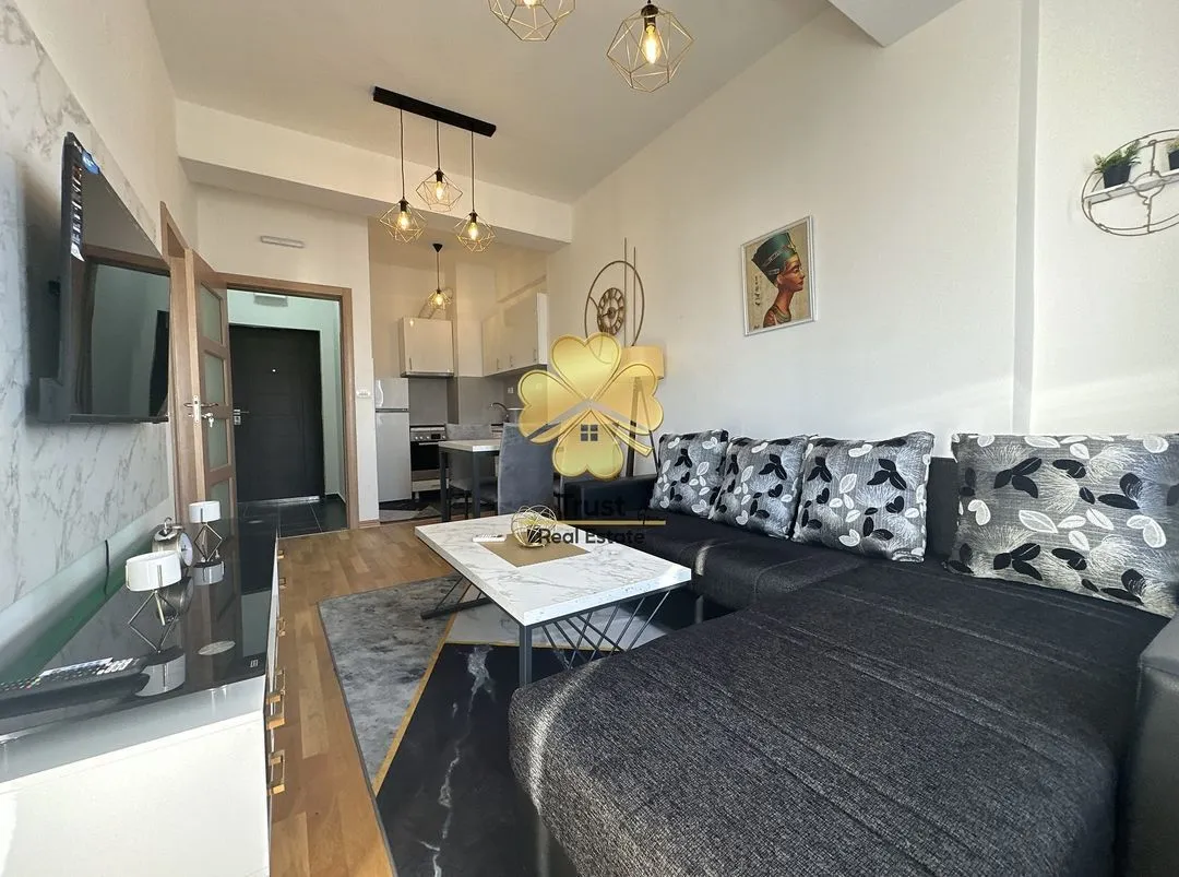 Rent, one bedroom apartment, 45m², Ljubović, Podgorica