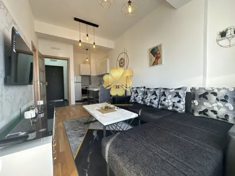 Izdavanje, jednosoban stan, 45m², Ljubović, Podgorica - image 7