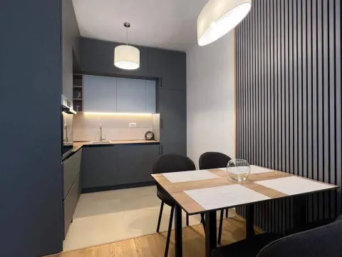 Rent, one bedroom apartment, 47m², Zabjelo, Podgorica - image 2