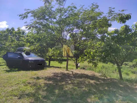 Prodaja, kuća, 60m², Sremski Karlovci, Novi Sad - image 13
