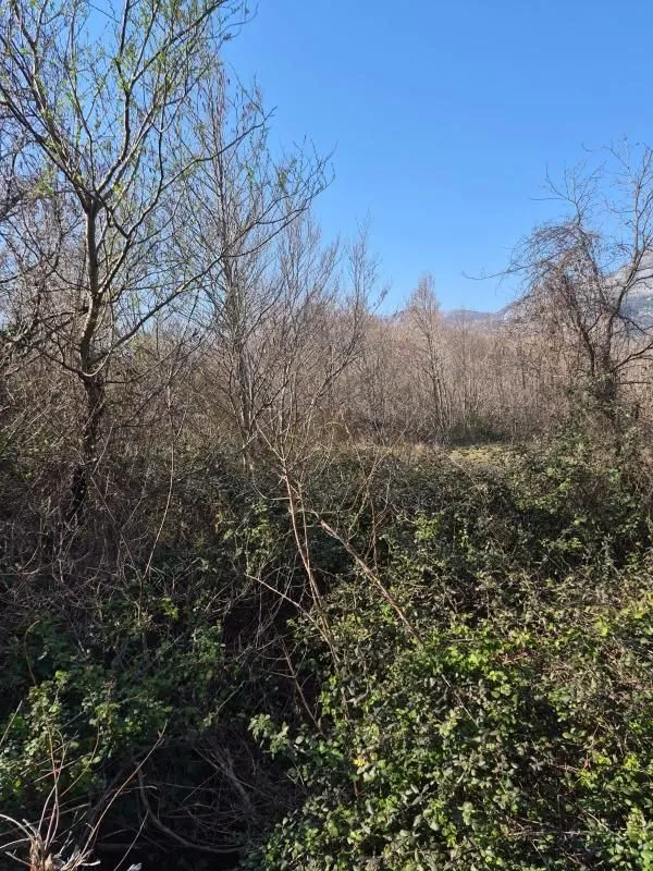 Prodaja, plac, 1242m², Buljarica, Budva