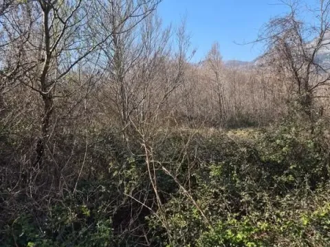 Prodaja, plac, 1242m², Buljarica, Budva - image 3