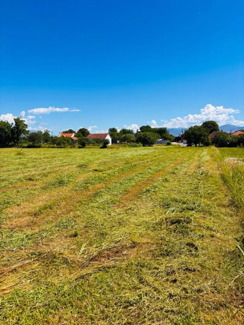 Pogled na prostrani plac sa travnjakom i kućama u pozadini.
