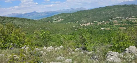 Zemljište in Beri