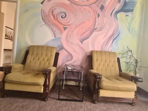 Izdavanje, jednosoban stan, 50m², Zvezdara Sve Podlokacije, Beograd - image 2