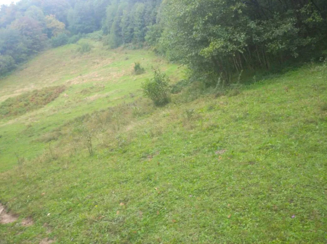 Prodaja, plac, 35000m², Bijelo Polje, Crna Gora