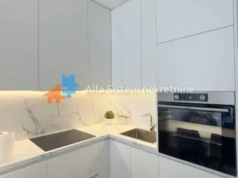 Izdavanje, dvosoban stan, 55m², Palilulska Pijaca, Palilula Sve Podlokacije - image 6