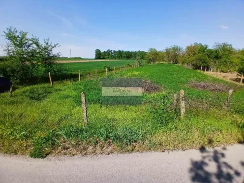 Sale, land lot, 1932m², Vinorača, Jagodina - image 5