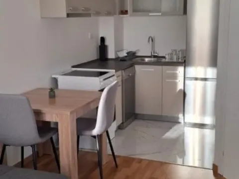 Izdavanje, jednosoban stan, 35m², Zagorič, Podgorica - image 7