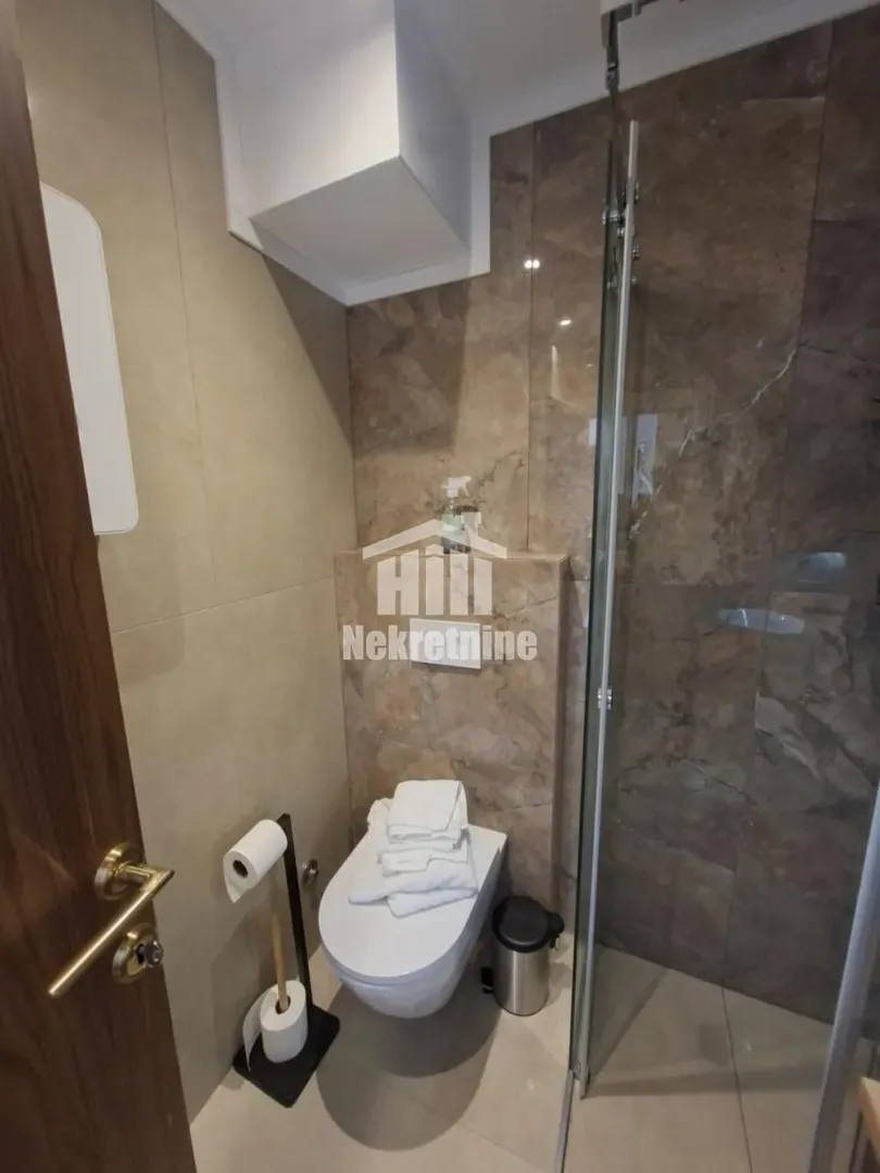 Modern bathroom with a walk-in shower and toilet.