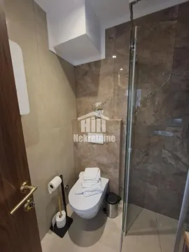 Modern bathroom with a walk-in shower and toilet. - image 9
