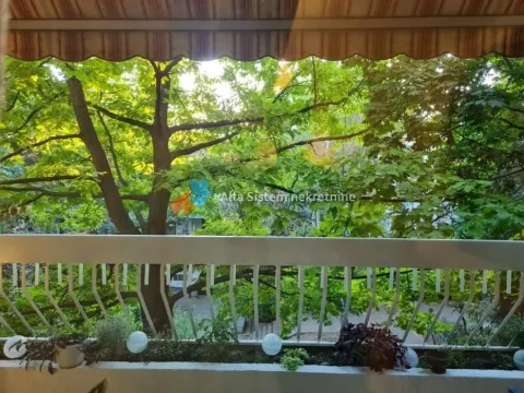 View from the covered balcony of lush greenery and trees. - image 13