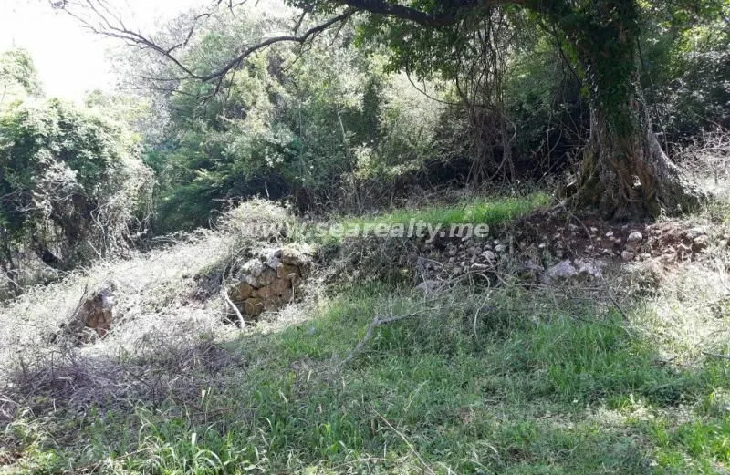 Sale, house, 83m², Kavač, Kotor