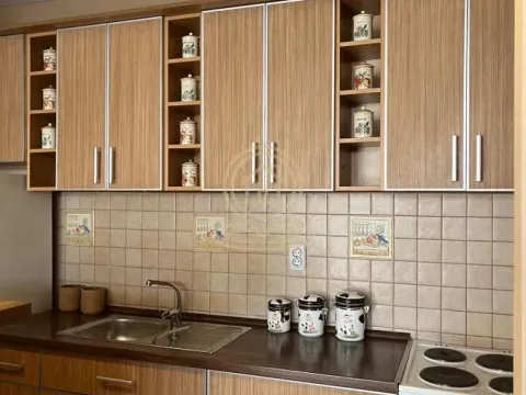 Izdavanje, stan, 47m², Centar, Kragujevac - image 4